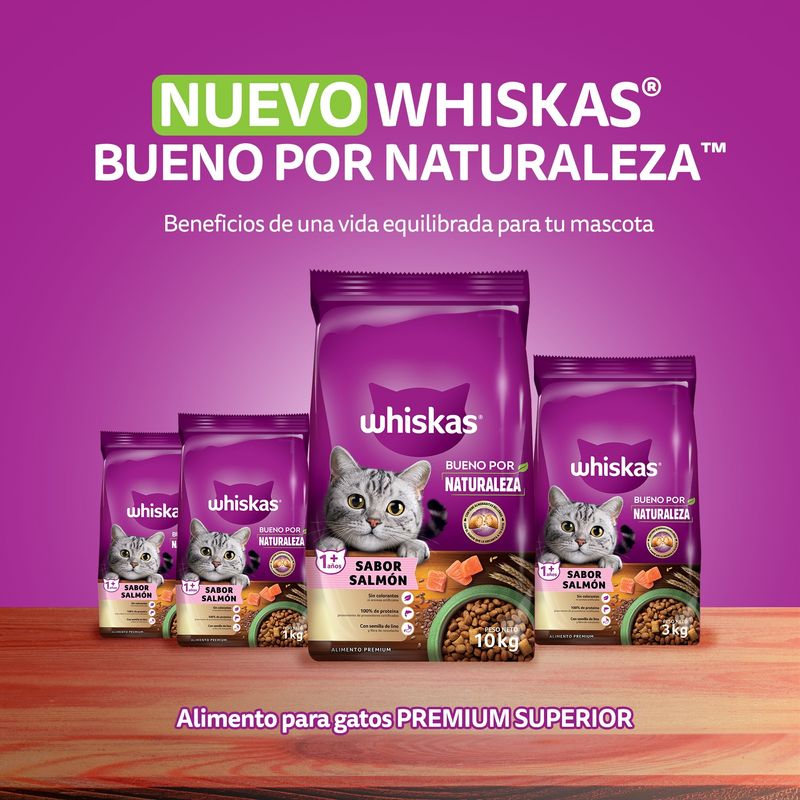 Alimento seco para gato Whiskas bueno por naturaleza salmón 500 g